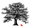 Charter Oak Group Logo